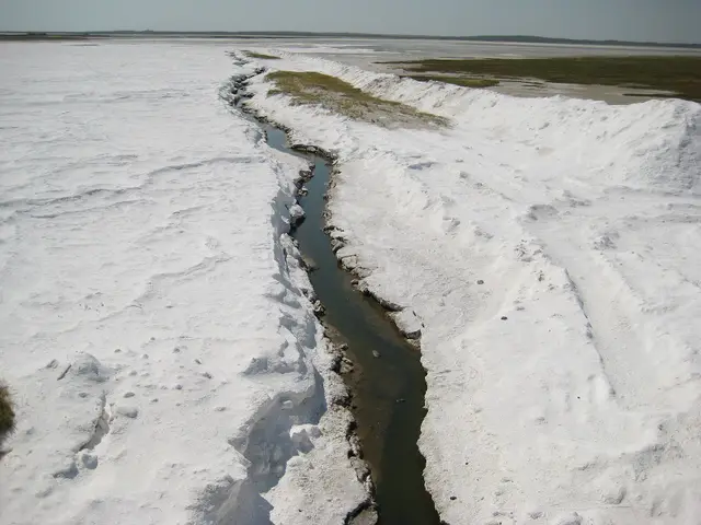 Salt flats and channel at Chaplin Lake